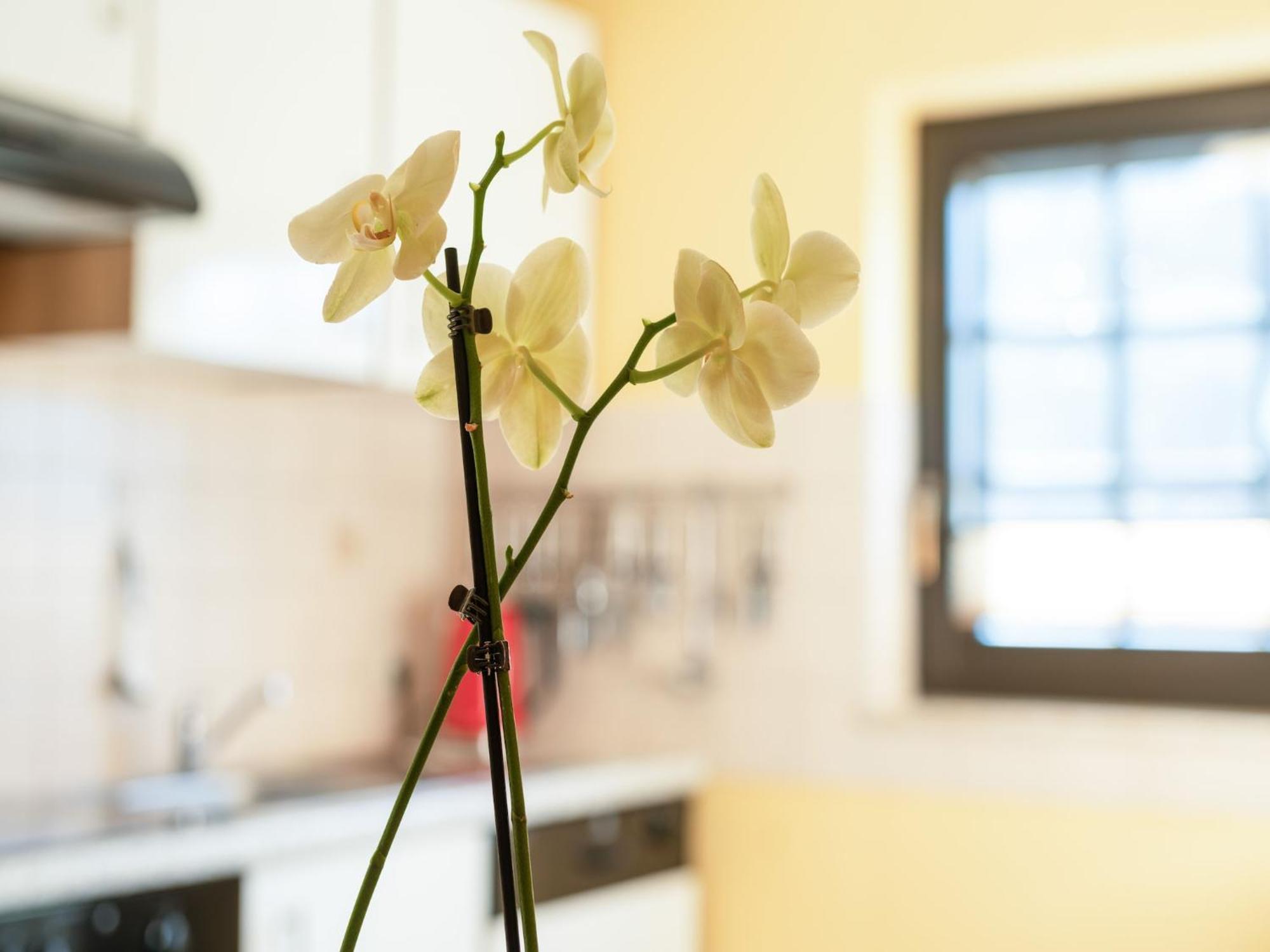 A Modern Apartment In The Hunsr Ck Region S Romantic Drohn Valley Merschbach ภายนอก รูปภาพ