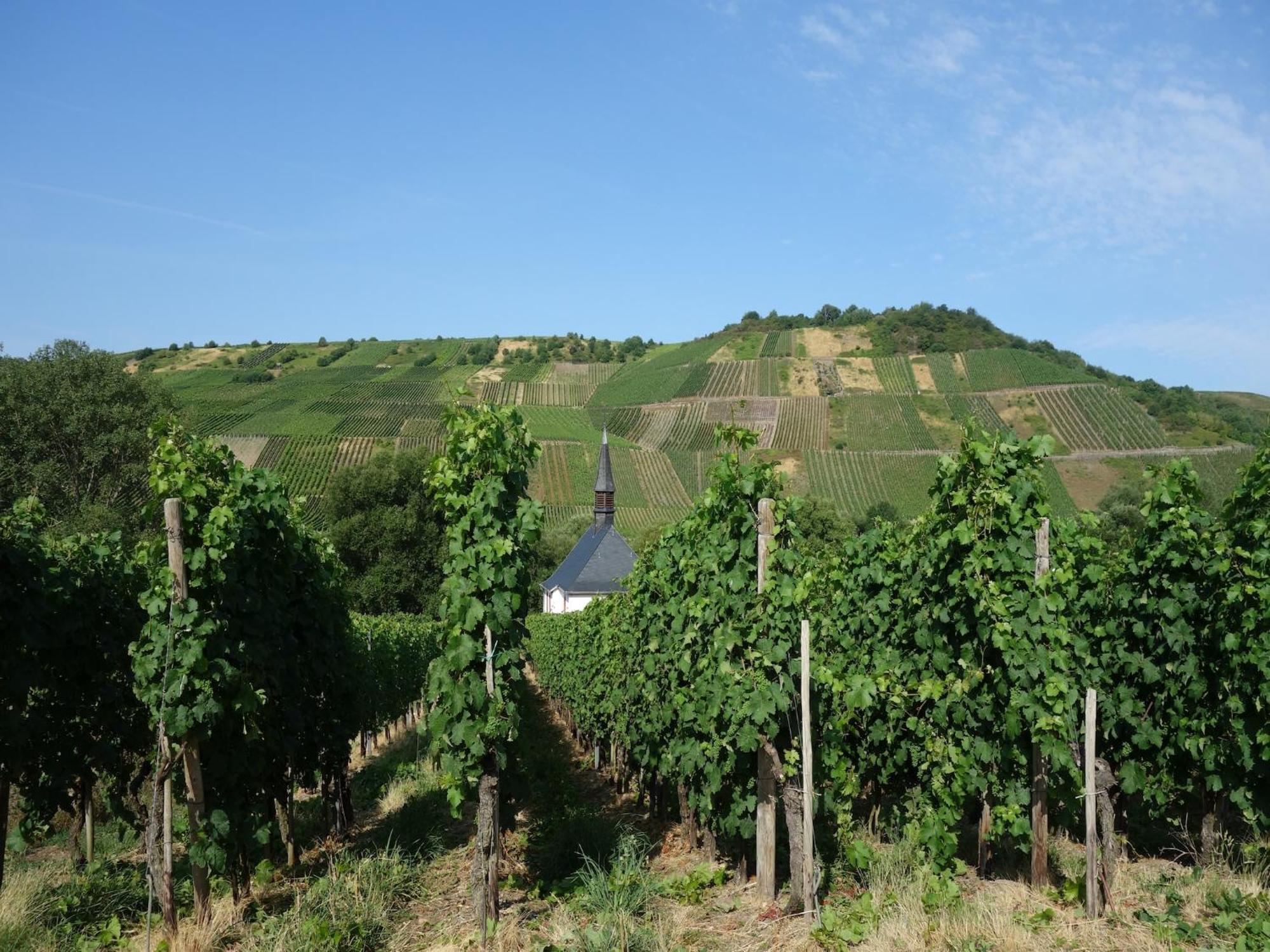 A Modern Apartment In The Hunsr Ck Region S Romantic Drohn Valley Merschbach ภายนอก รูปภาพ